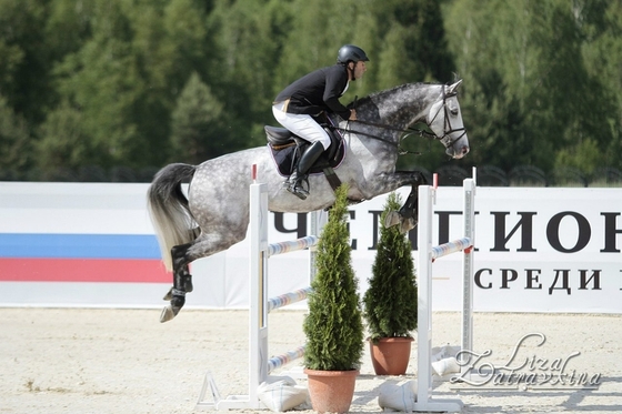 Победители чемпионата России по конкуру для всадников на молодых лошадях 