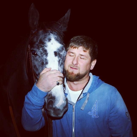 Лошади Рамзана Кадырова опять попадают под санкции