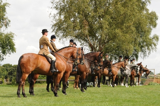 Одно из старейших конных шоу стартовало в Великобритании