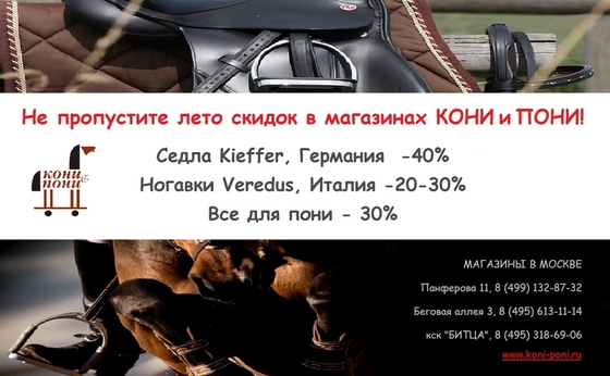 Жаркое лето в КОНИ и ПОНИ!