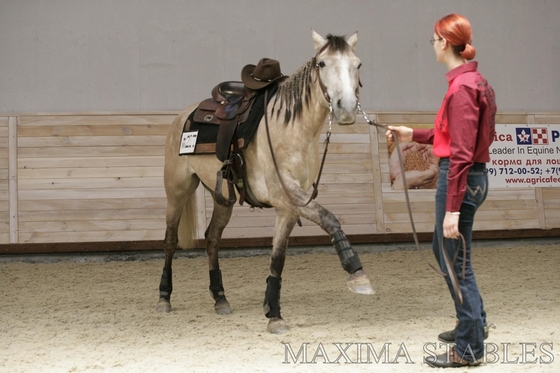 Maxima Stables распахнул двери ковбоям