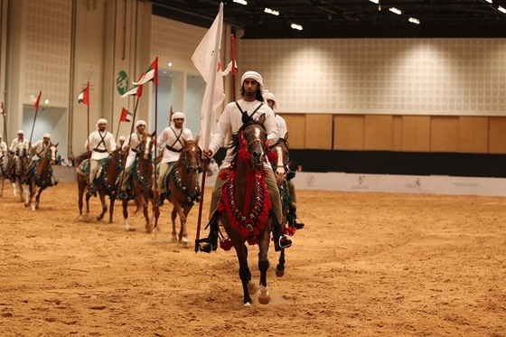 Конная выставка в Эмиратах ждет гостей