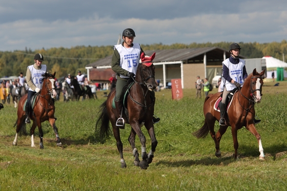 Международные соревнования по дистанционным конным пробегам завершились в Тюменской области