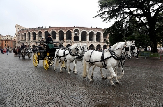 Fieracavalli 2015