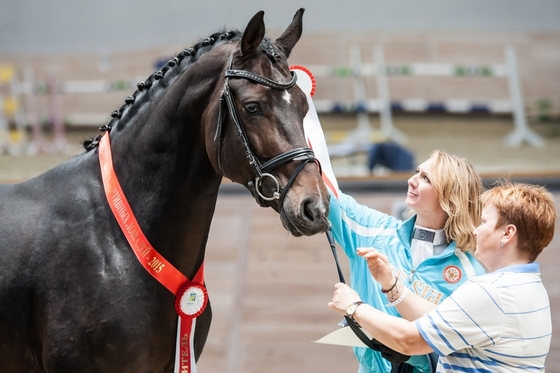 Максимальные возможности с Maxima Stables