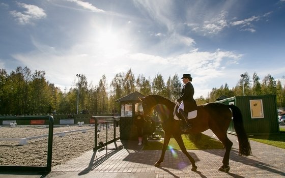 Великосветская выездка. Кубок Российского Императорского Дома