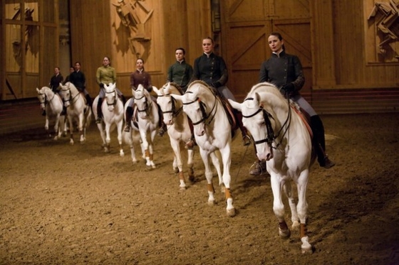 Версальская академия конного искусства набирает новых студентов