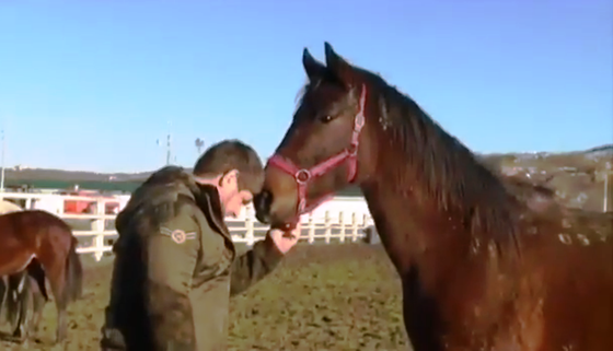 Рамзан Кадыров спас лошадь с бойни!