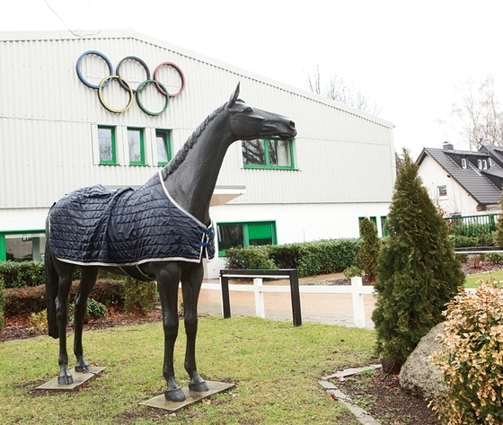 Необходимость хорошего отношения к лошадям: Федерация конного спорта Германии вводит новое правило