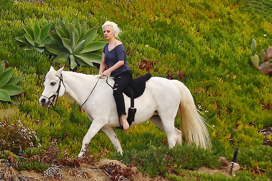 Леди Гага прокатилась на своей новой лошади вдоль пляжа Малибу