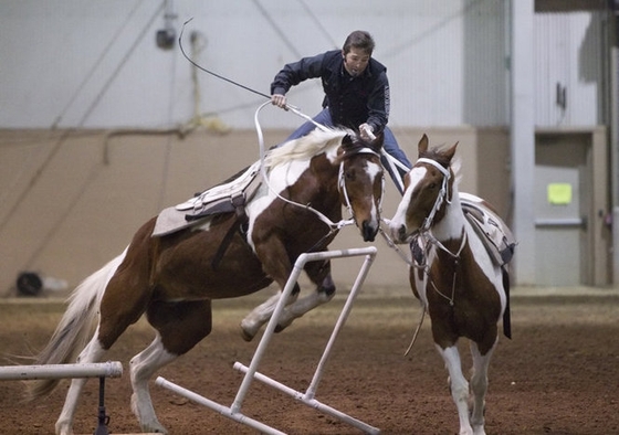 Pennsylvania Horse World Expo 