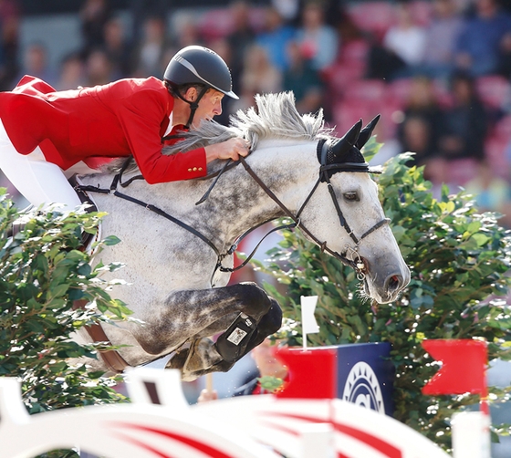 Доха, CSI5*: три первых места в Гран-при заняли представители Германии!