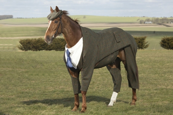 Конь в костюме арт