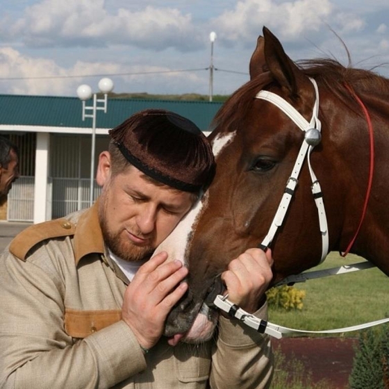 Рамзан Кадыров поставил задачу вывести чеченскую скаковую породу лошадей