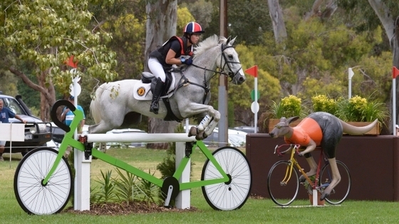 Международные соревнования по троеборью CCI4* в Бадминтоне