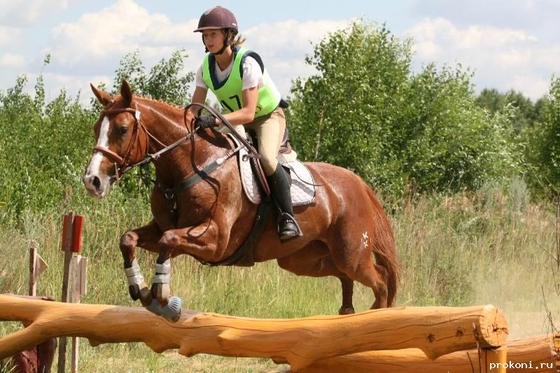 Чемпионат Мира среди молодых лошадей по троеборью, CH-M-YH-CCI1*, CH-M-YH-CCI2*