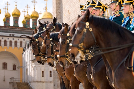 Церемония развода пеших и конных караулов в Кремле 7 мая будет отменена 
