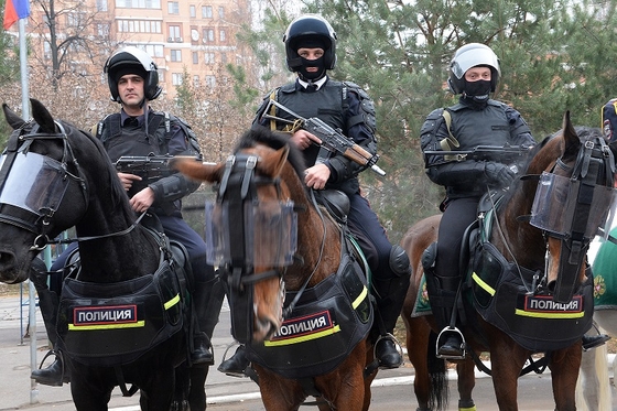 Чешские полицейские изучили опыт работы московского подразделения конной полиции