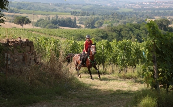 Sardegna Endurance Cup пройдёт в июне