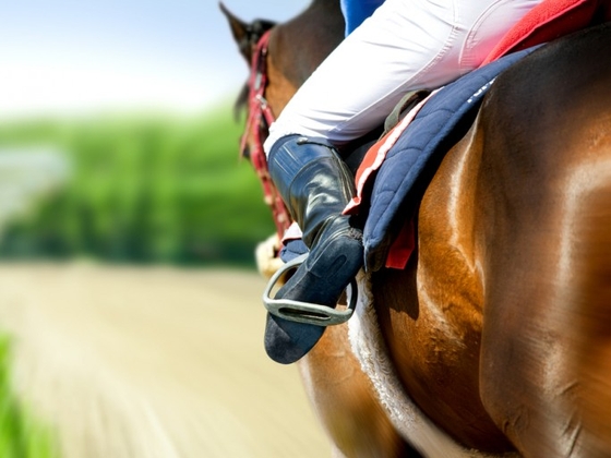 Equimètre: новый трекер для лошадей!