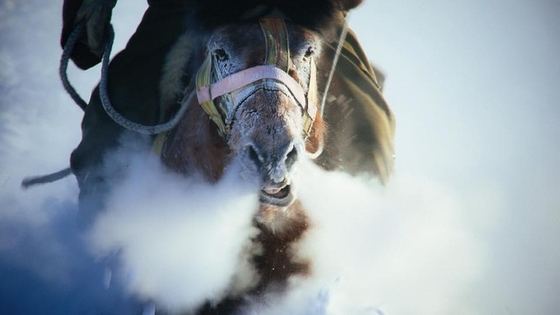Фильм о якутском коневоде покажут на Московском международном кинофестивале