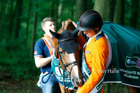 Спортсмен Eurohorse Харри Смолдерс выступит на Играх в Рио