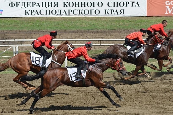 В Краснодаре состоялись скачки на Кубок губернатора