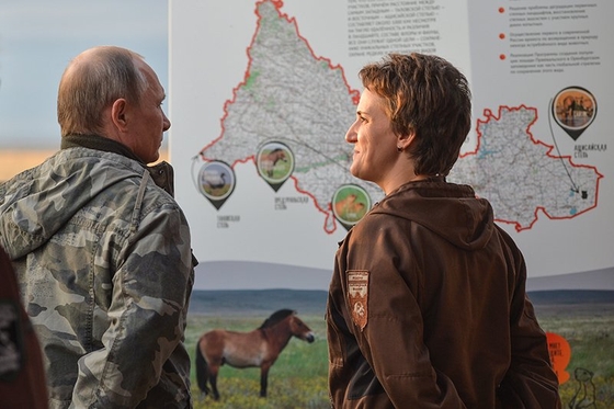 Владимир Путин выпустил лошадь Пржевальского на свободу. 
