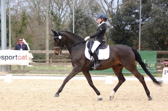 Екатерина Аристова примет участие в Global Dressage Forum.