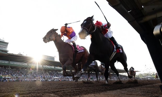 Beholder выиграла скачку Breeders Cup Longines Distaff.