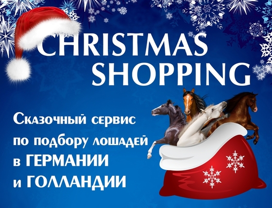 Horse Shopping - новый проект от компании Russain Equestrian Service