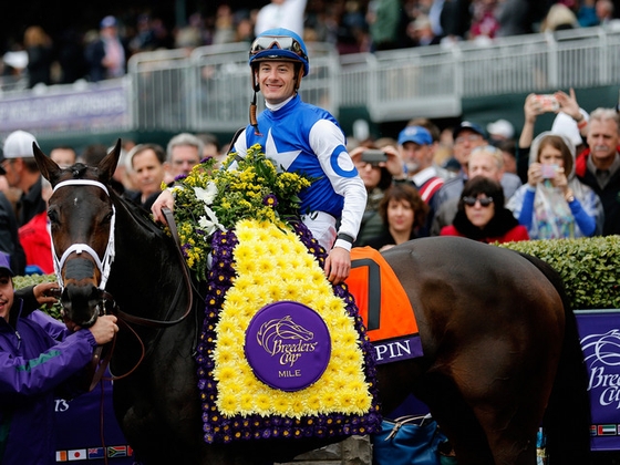 Tepin не будет участвовать в скачке Longines Hong Kong Mile.