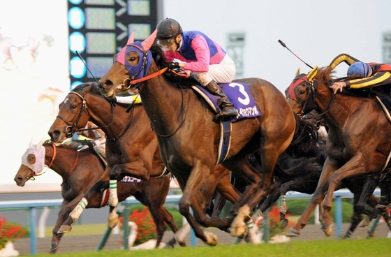  Queens Ring стала победительницей скачки Queen Elizabeth II Cup.