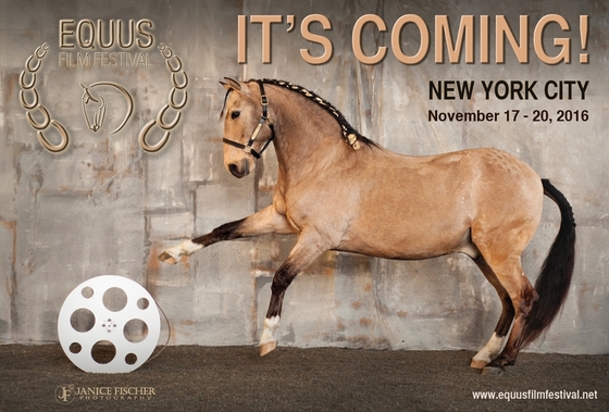 В Нью-Йорке прошел конноспортивный кинофестиваль Equus Film Festival. 
