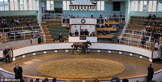 Новый рекорд декабрьского аукциона Tattersalls.