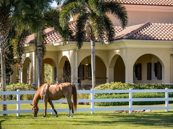 Конноспортивный центр Florida Equestrian Compound выставлен на продажу за 45 млн $.