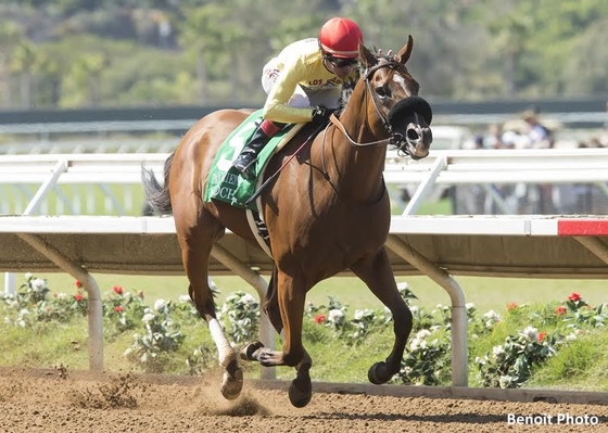  Допинговый скандал на скачках Breeders Cup.