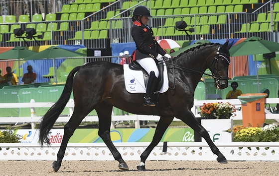 Конь чемпионки Паралимпиады в Рио погиб от бактериальной инфекции