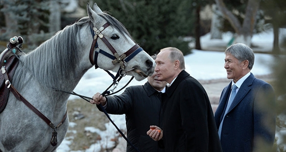 Владимиру Путину подарили в Киргизии коня