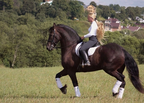 Российская спортсменка дисквалифицирована за жестокое обращение с лошадью