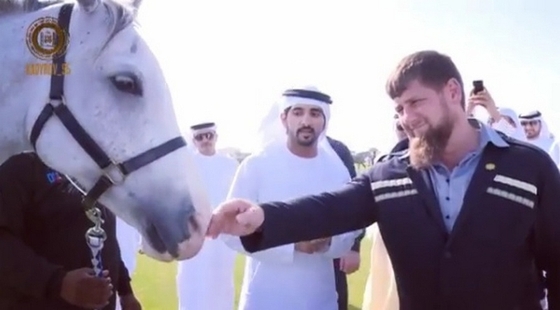 Наследный принц Дубая подарил Рамзану Кадырову коня