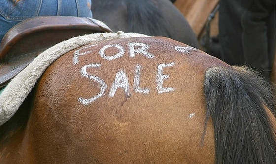 Пользователи Facebook протестуют против удаления объявлений о продаже лошадей
