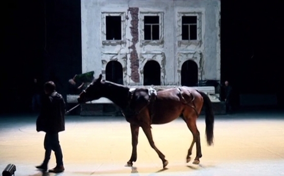 На сцене питерского театра выступает конь