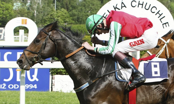 Лошади Рамзана Кадырова выигрывают скачки и устанавливают рекорды в Чехии