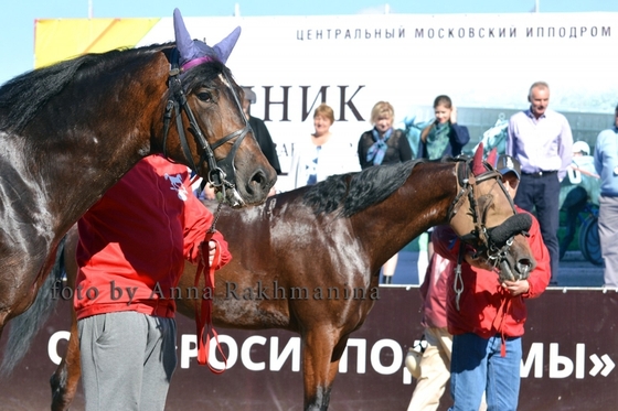 В призе "Барса" на ЦМИ победили сразу две лошади
