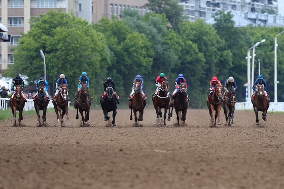 На ЦМИ прошли скачки на Большой Летний приз