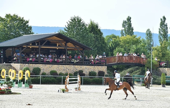 Турнир по конкуру CSI2*, CSIYH1*, Винер-Нойштадт, Австрия