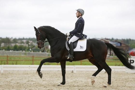 На Чемпионат мира по выездке среди молодых лошадей едут лошади из КСК "Карцево"