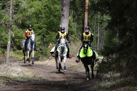 Соревнования по конным пробегам в Падизе.
