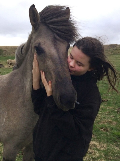 Исландскому фермеру запретили назвать лошадь неисландским именем.